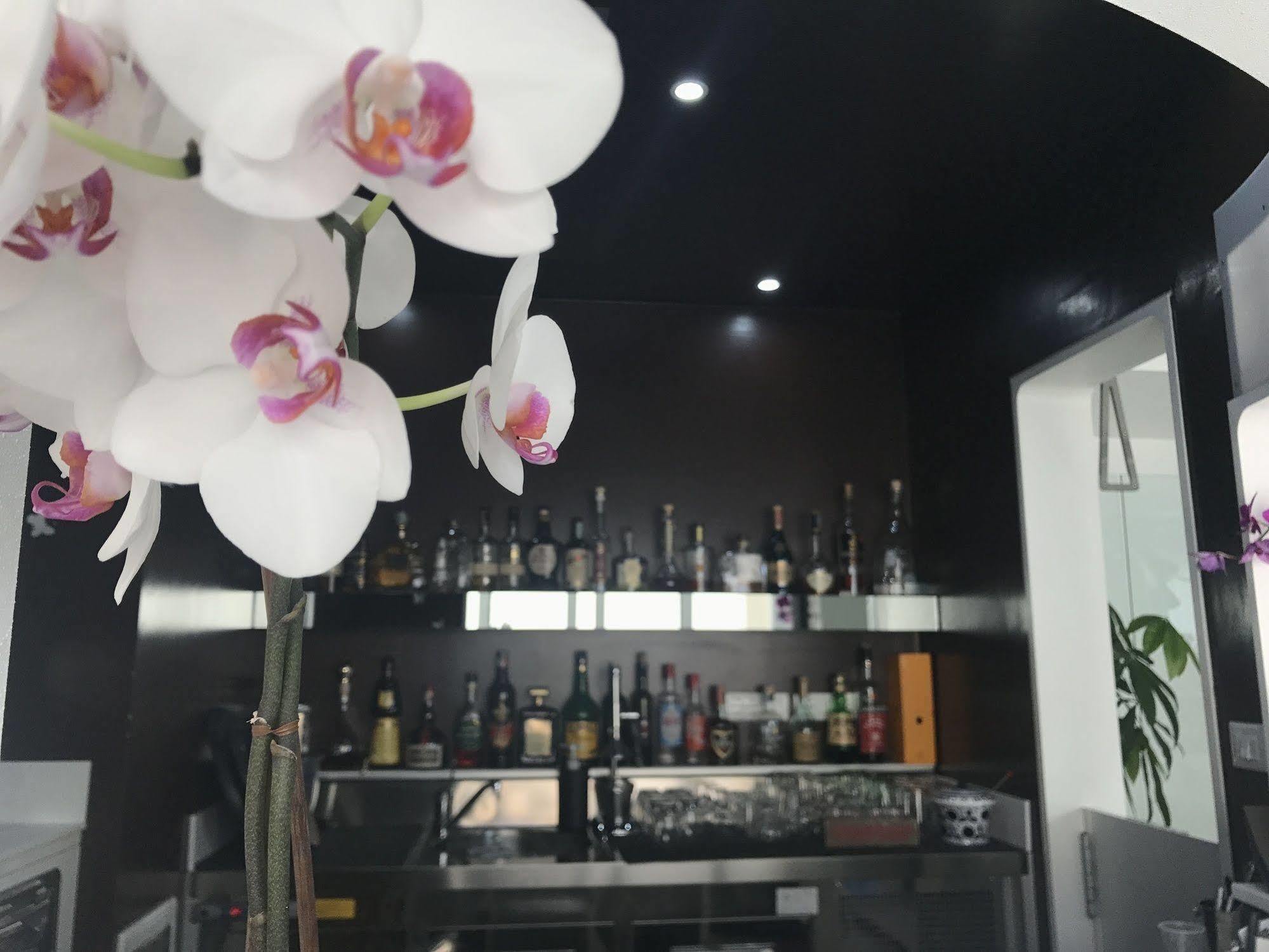 Quihotel Porto Cesareo Buitenkant foto